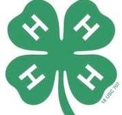 The 4-H logo is a green four-leaf clover; the four Hs stand for Head, Heart, Hands and Health.